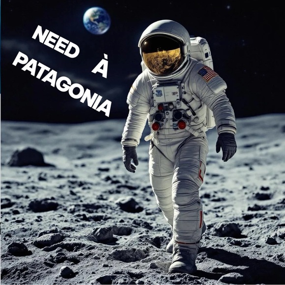 PATAGONIA NANO PUFF 1/2 ZIP PRIMALOFT FILL. GECKO GREEN PULLOVER XL P 24 L 29 - Picture 9 of 13